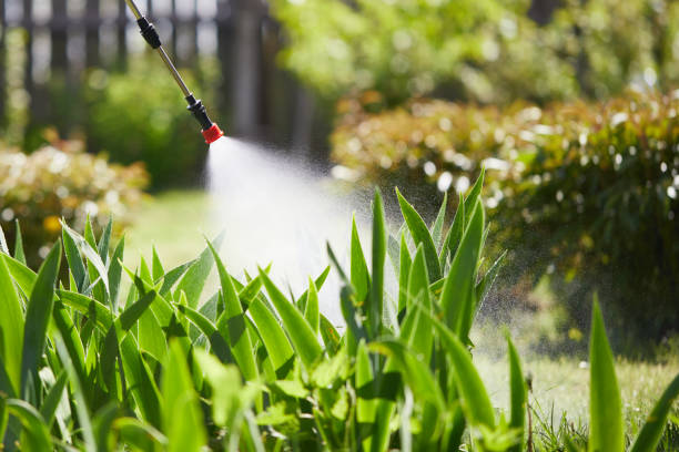 Tamper-Resistant Bait Stations for Rodents in Lebanon